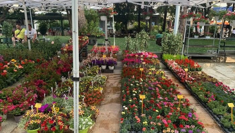 Στο πλαίσιο της 1ης Ανθοκομικής Έκθεσης: Γέμισε λουλούδια η Πλατεία Δημαρχείου στη Νιγρίτα