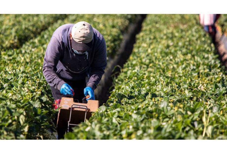 N.E ΠΑΣΟΚ Σερρών: Αγρότες σε απόγνωση – Κυβέρνηση σε αποδρομή N.E ΠΑΣΟΚ Σερρών: Αγρότες σε απόγνωση – Κυβέρνηση σε αποδρομή