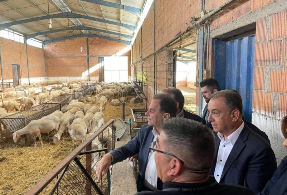 Με το συνδυασμό ζωικού κεφαλαίου και την παραγωγή σε γάλα ή κρέας: 89 εκατ. ευρώ προς τους κτηνοτρόφους Με το συνδυασμό ζωικού κεφαλαίου και την παραγωγή σε γάλα ή κρέας: 89 εκατ. ευρώ προς τους κτηνοτρόφους