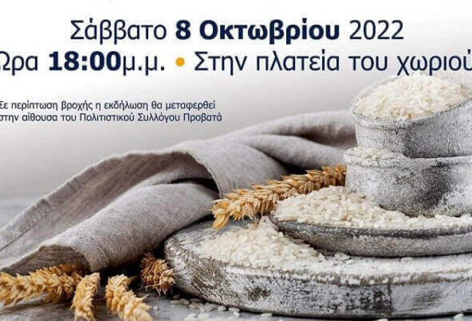 Σήμερα στον Προβατά: 22η Γιορτή Ρυζιού Σήμερα στον Προβατά: 22η Γιορτή Ρυζιού