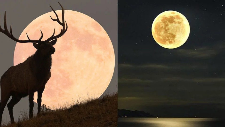 Απόψε η Πανσέληνος του Ελαφιού: Από πού πήρε το όνομά του το ολόγιομο φεγγάρι του Ιουλίου