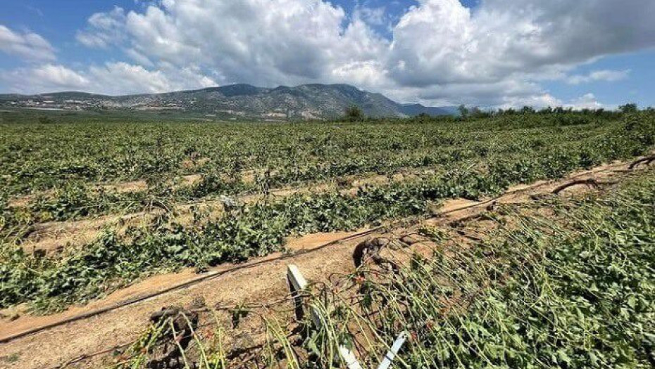 Ηλεκτρονικές οι αιτήσεις των πληγέντων στην Αμφίπολη