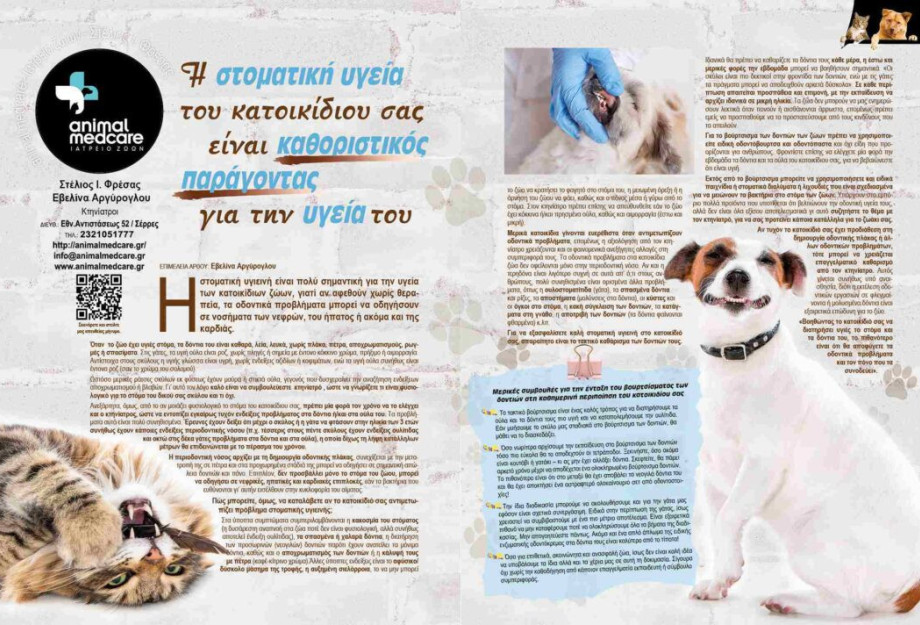 Η στοματική υγεία του κατοικίδιου σας είναι καθοριστικός παράγοντας για την υγεία του! Η στοματική υγεία του κατοικίδιου σας είναι καθοριστικός παράγοντας για την υγεία του!