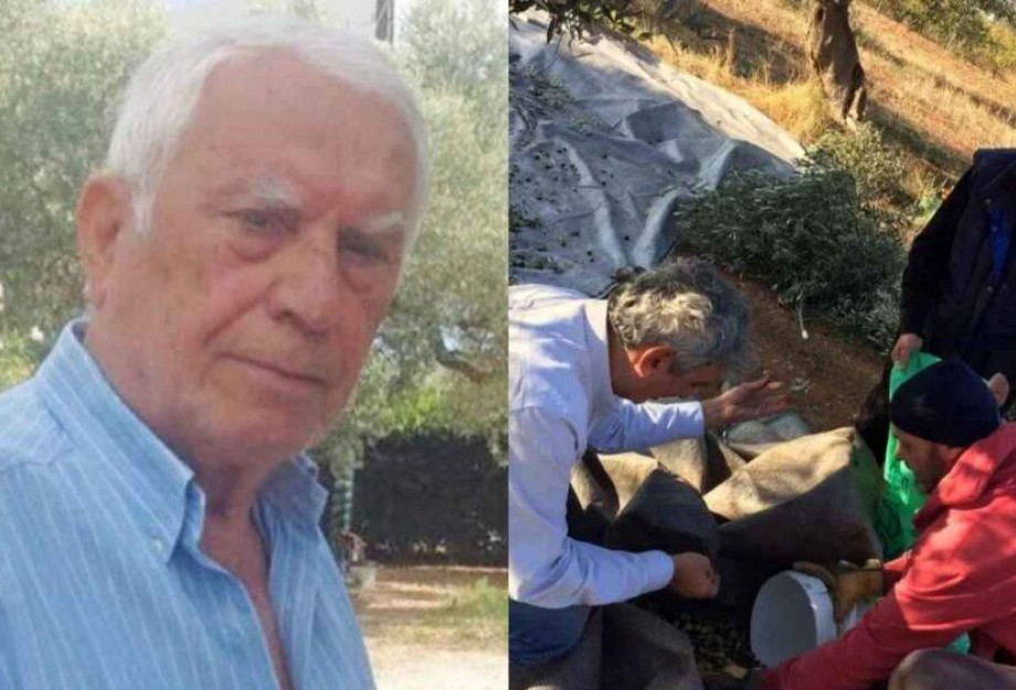 Παλικάρι στα 88 του ο Νίκος Ξανθόπουλος: Βγήκε στο χωράφι να μαζέψει ελιές & στέλνει μήνυμα σε όλους τους νέους Παλικάρι στα 88 του ο Νίκος Ξανθόπουλος: Βγήκε στο χωράφι να μαζέψει ελιές & στέλνει μήνυμα σε όλους τους νέους