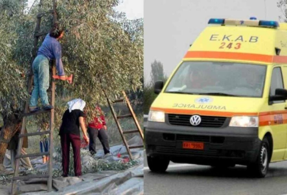 Σοκ: Νεκρός γνωστός γιατρός την ώρα που ράβδιζε ελιές στο χωράφι του, η είδηση του θανάτου «πάγωσε» την Κρήτη Σοκ: Νεκρός γνωστός γιατρός την ώρα που ράβδιζε ελιές στο χωράφι του, η είδηση του θανάτου «πάγωσε» την Κρήτη