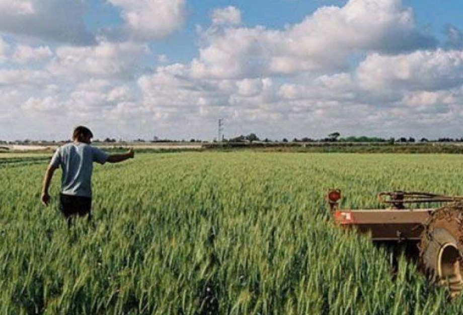 Ημερίδα για τον Ψηφιακό Μετασχηματισμό στη Γεωργία από τη Π.Ε Σερρών Ημερίδα για τον Ψηφιακό Μετασχηματισμό στη Γεωργία από τη Π.Ε Σερρών