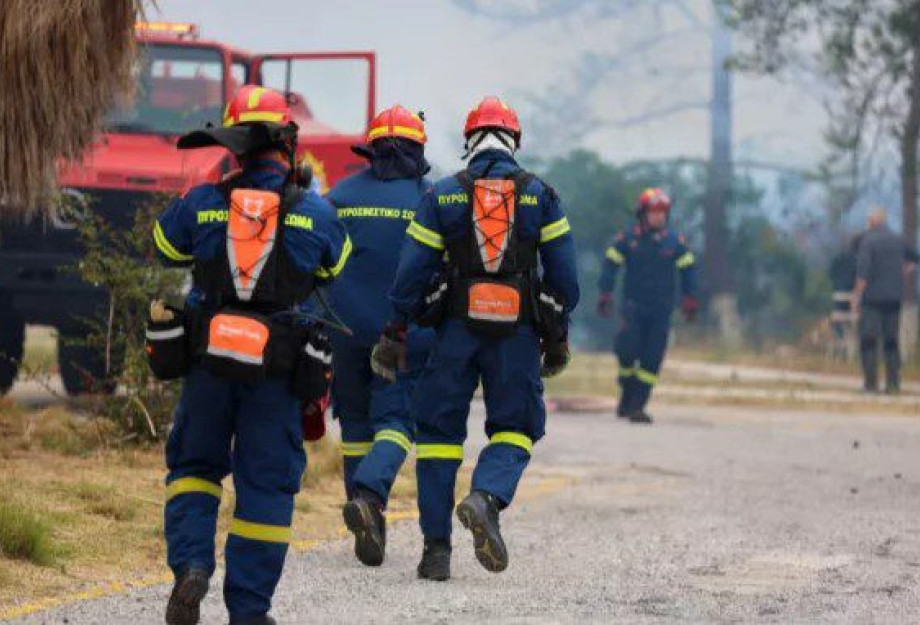 Λάρισα: Ολονύχτια επιχείρηση της Πυροσβεστικής για πυρκαγιά στην περιοχή της Χάλκης