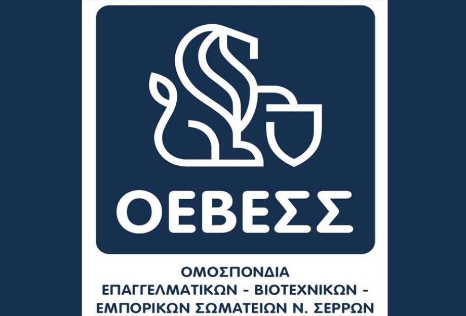 Η ΟΕΒΕΣΣ συμμετέχει στη συγκέντρωση διαμαρτυρίας για την τραγωδία των Τεμπών