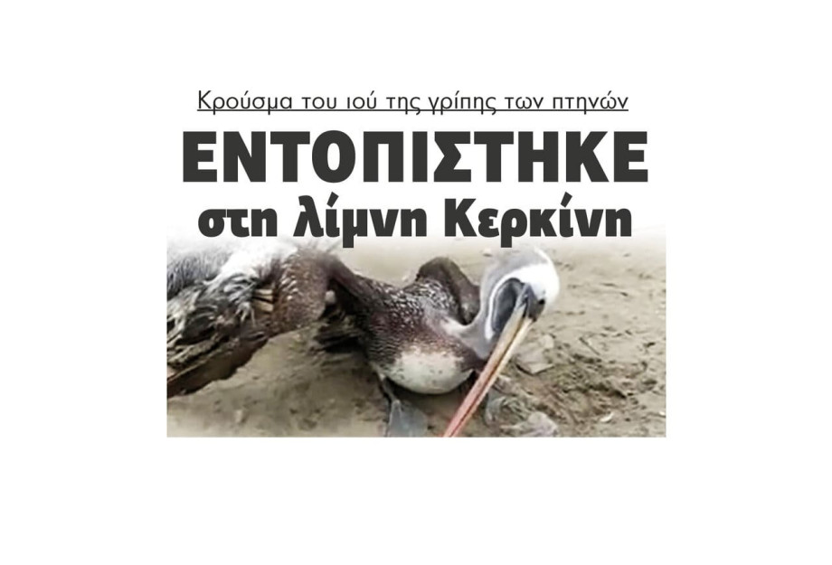 Κρούσμα του ιού της γρίπης των πτηνών εντοπίστηκε στη Λίμνη Κερκίνη Κρούσμα του ιού της γρίπης των πτηνών εντοπίστηκε στη Λίμνη Κερκίνη