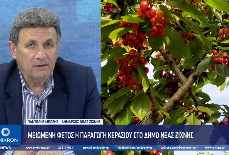 Μειωμένη φέτος η παραγωγή κερασιού στο Δήμο Νέας Ζίχνης Μειωμένη φέτος η παραγωγή κερασιού στο Δήμο Νέας Ζίχνης