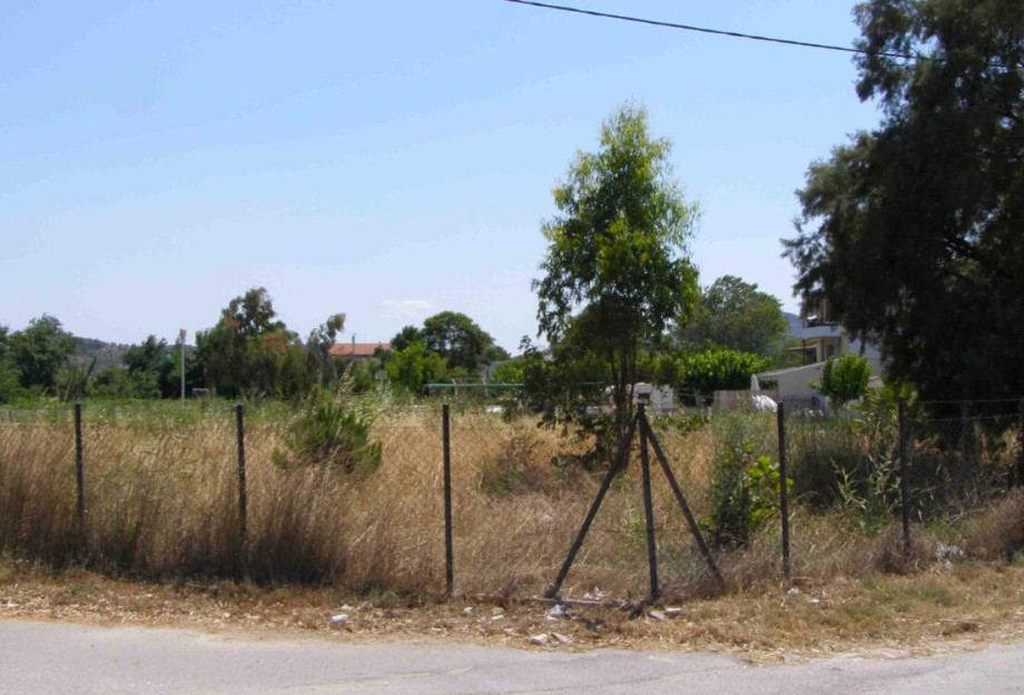 Περισσότερες από 82.000 δηλώσεις για καθαρισμούς οικοπέδων μέσα σε 10 μέρες Περισσότερες από 82.000 δηλώσεις για καθαρισμούς οικοπέδων μέσα σε 10 μέρες