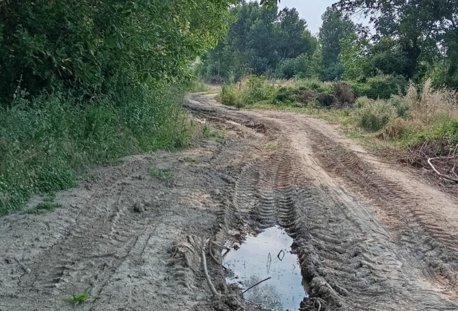 Κώστας Παπαβάγγελος Πρόεδρος Κρηνίδας: Σε τραγική κατάσταση το αγροτικό δίκτυο Κώστας Παπαβάγγελος Πρόεδρος Κρηνίδας: Σε τραγική κατάσταση το αγροτικό δίκτυο
