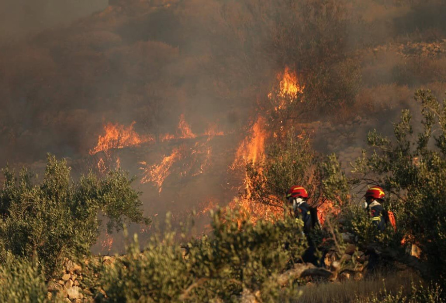 Φωτιά στο Αλιβέρι Εύβοιας - Συναγερμός στην Πυροσβεστική