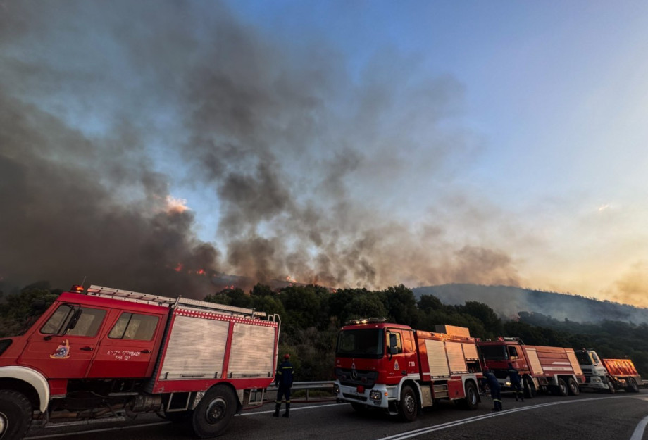 Σέρρες: Φωτιά σε εργοστάσιο ξυλείας – Επιχειρούν εναέρια μέσα Σέρρες: Φωτιά σε εργοστάσιο ξυλείας – Επιχειρούν εναέρια μέσα