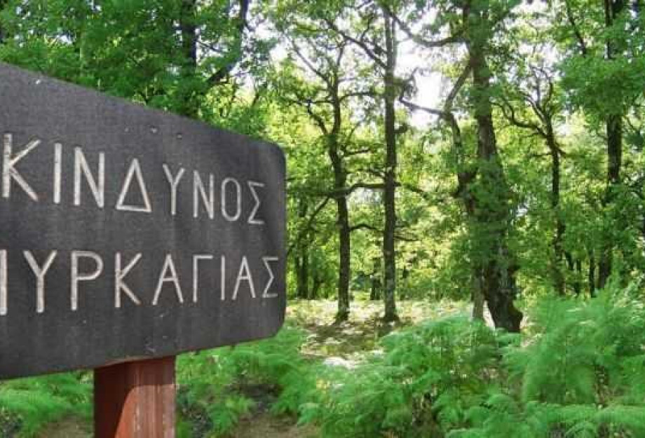 Υψηλός ο κίνδυνος πυρκαγιάς στο Δήμο Σερρών- Σε ετοιμότητα όλες οι συναρμόδιες υπηρεσίες Υψηλός ο κίνδυνος πυρκαγιάς στο Δήμο Σερρών- Σε ετοιμότητα όλες οι συναρμόδιες υπηρεσίες