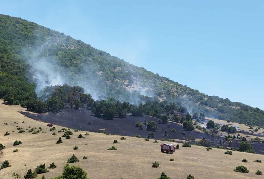Συνελήφθη 75χρονος για τη φωτιά στην Κοζάνη Συνελήφθη 75χρονος για τη φωτιά στην Κοζάνη