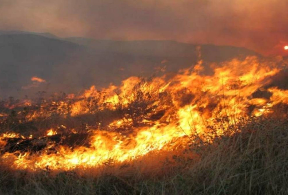 Λήψη μέτρων διασφάλισης της Δημόσιας Υγείας σε περίπτωση πυρκαγιών Λήψη μέτρων διασφάλισης της Δημόσιας Υγείας σε περίπτωση πυρκαγιών