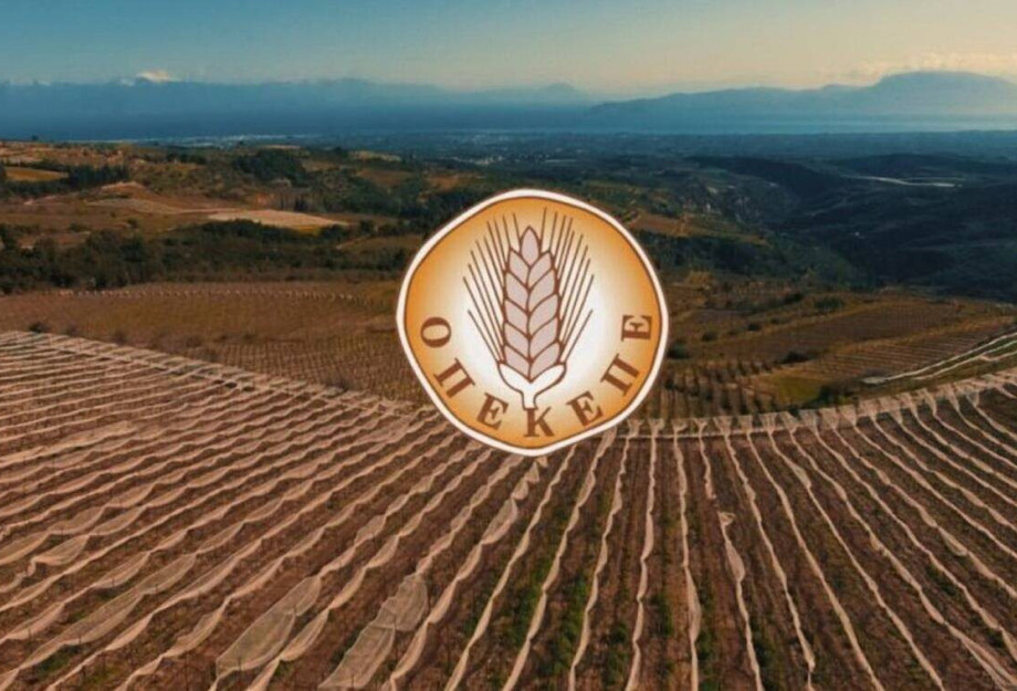 Κώστας Τσιάρας: Καθαρή λύση πλήρης διαφάνεια και νέα εποχή για τον ΟΠΕΚΕΠΕ
