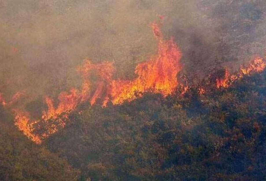 Η πρόληψη δασικών πυρκαγιών είναι υπόθεση όλων μας - Με το παραμικρό πάρτε τηλ στο 112 Η πρόληψη δασικών πυρκαγιών είναι υπόθεση όλων μας - Με το παραμικρό πάρτε τηλ στο 112
