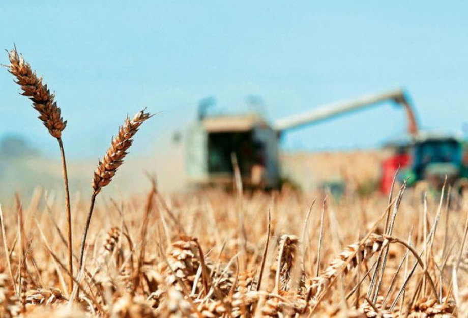 Οι Δήμαρχοι της ΠΕ Σερρών ζητούν De minimis στο Σιτάρι Οι Δήμαρχοι της ΠΕ Σερρών ζητούν De minimis στο Σιτάρι