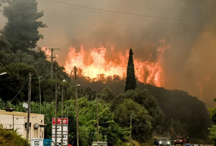 Δυόμισι σοκαριστικά λεπτά - Drone καταγράφει τα καμένα στη Δυτική Αχαΐα [βίντεο]