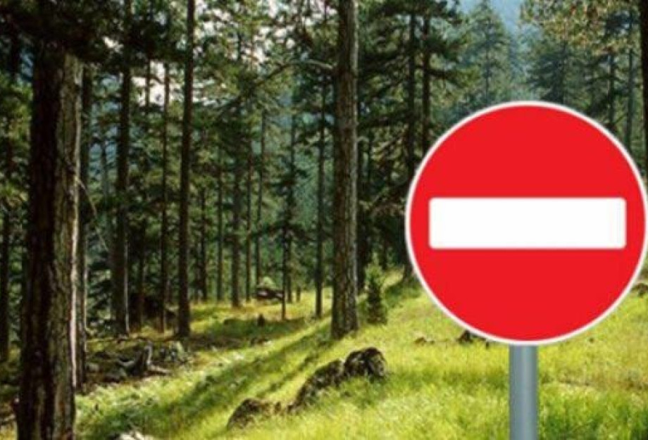 Απαγόρευση κυκλοφορίας στην περιοχή ευθύνης του Δασαρχείου Νιγρίτας Απαγόρευση κυκλοφορίας στην περιοχή ευθύνης του Δασαρχείου Νιγρίτας