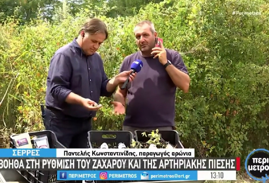Αρώνια - Σέρρες : Το φυτό με τις ευεργετικές ιδιότητες στον ανθρώπινο οργανισμό Αρώνια - Σέρρες : Το φυτό με τις ευεργετικές ιδιότητες στον ανθρώπινο οργανισμό