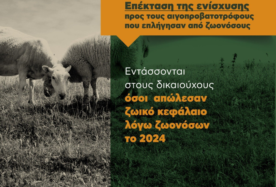 Επέκταση της ενίσχυσης προς τους αιγοπροβατοτρόφους που επλήγησαν από ζωονόσους