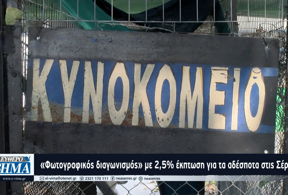 Σέρρες - «Φωτογραφικός διαγωνισμός» με 2,5% έκπτωση για τα αδέσποτα ζώα; Σέρρες - «Φωτογραφικός διαγωνισμός» με 2,5% έκπτωση για τα αδέσποτα ζώα;