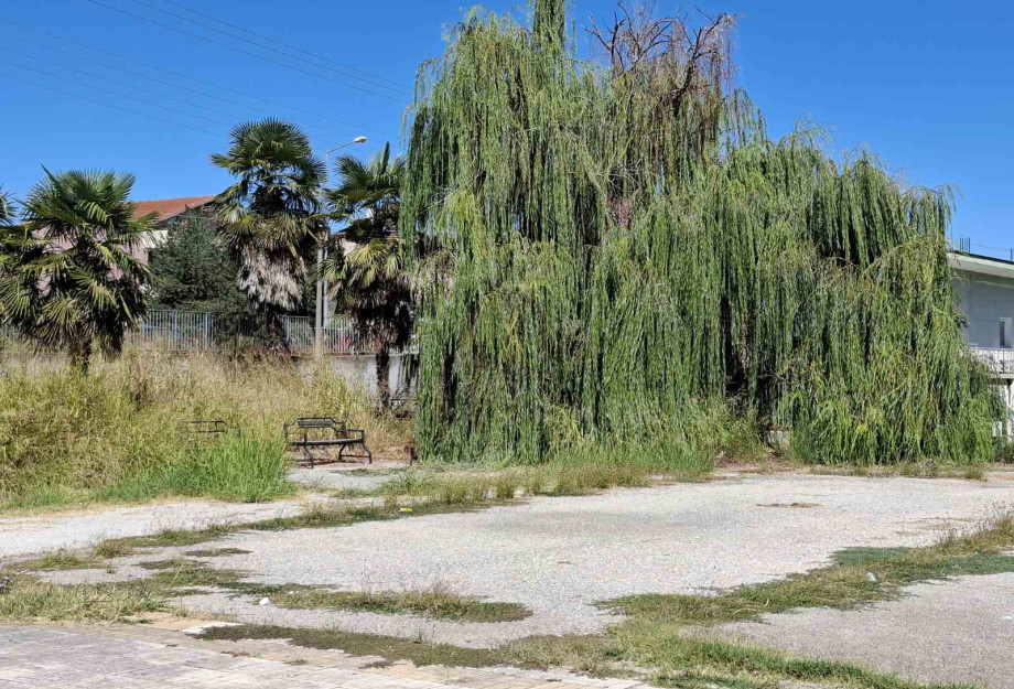 Σέρρες - Πλήρης η αδιαφορία της δημοτικής αρχής για τα σχολεία! Σέρρες - Πλήρης η αδιαφορία της δημοτικής αρχής για τα σχολεία!