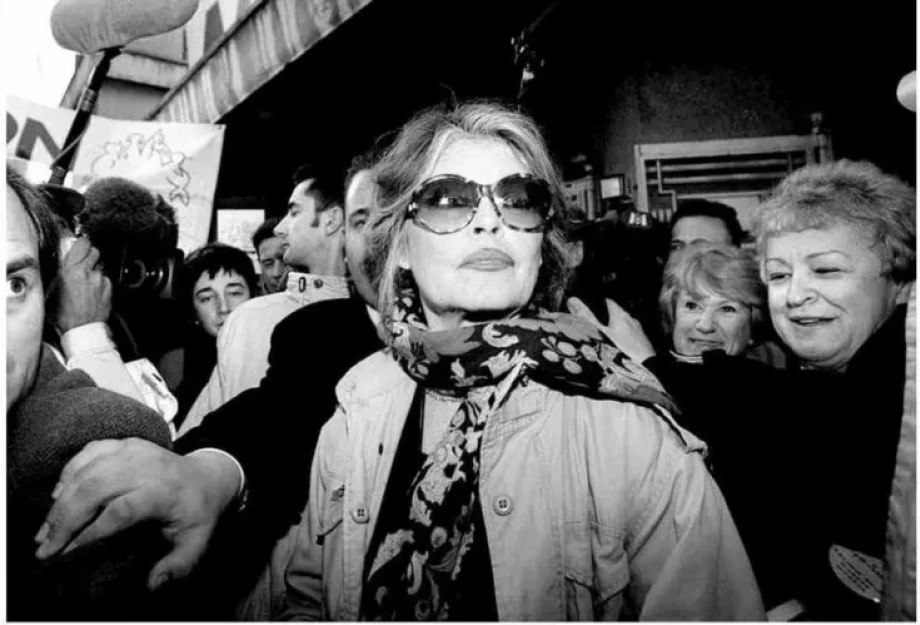 Αγωνία για την 91χρονη Μπριζίτ Μπαρντό! Η κατάστασή της παραμένει ανησυχητική μετά την επέμβαση Αγωνία για την 91χρονη Μπριζίτ Μπαρντό! Η κατάστασή της παραμένει ανησυχητική μετά την επέμβαση