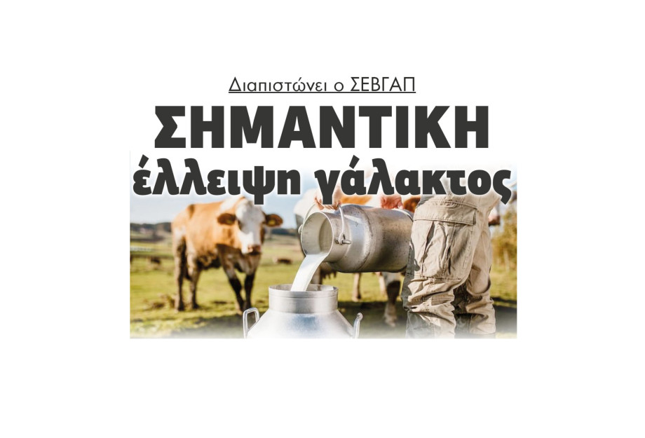 Διαπιστώνει ο ΣΕΒΓΑΠ σημαντική έλλειψη γάλακτος Διαπιστώνει ο ΣΕΒΓΑΠ σημαντική έλλειψη γάλακτος