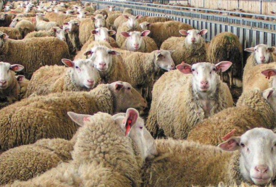 Τάσος Χατζηβασιλείου-Οι Σέρρες χρειάζονται άμεση στήριξη και συγκεκριμένα μέτρα