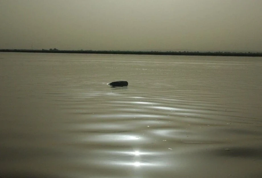 Νιγηρία: Τουλάχιστον 26 νεκροί από δυστύχημα με σκάφος στον ποταμό Νίγηρα