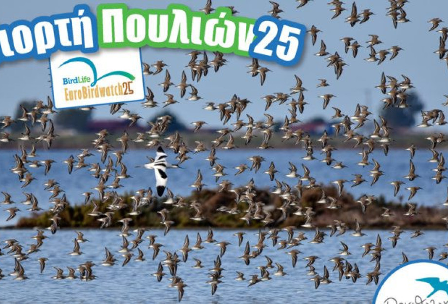 Ευρωπαϊκή Γιορτή των Πουλιών-Την Κυριακή στη Λίμνη Κερκίνη