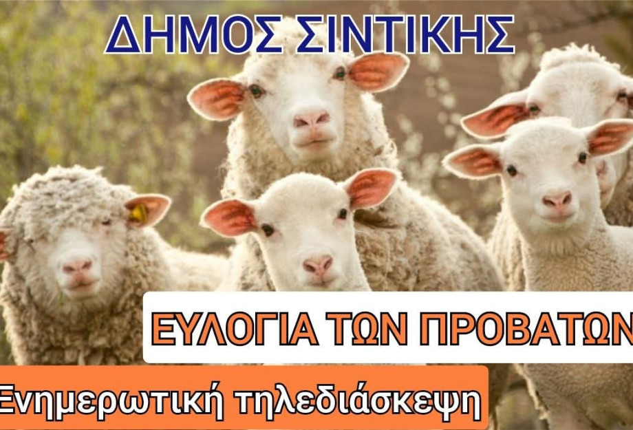 Ευλογιά των Προβάτων: ενημερωτική τηλεδιάσκεψη από το Δήμο Σιντικής
