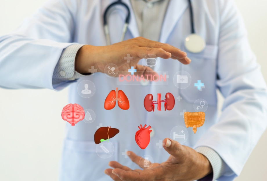 Ευρωπαϊκή Ημέρα Δωρεάς Οργάνων Ιστών και Κυττάρων