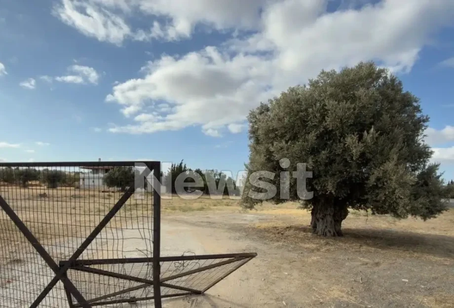 Άγρια συμπλοκή σε κρητικό γλέντι στη Μεταμόρφωση: Έβγαλαν μαχαίρια λόγω προτεραιότητας – Στο νοσοκομείο 4 άτομα