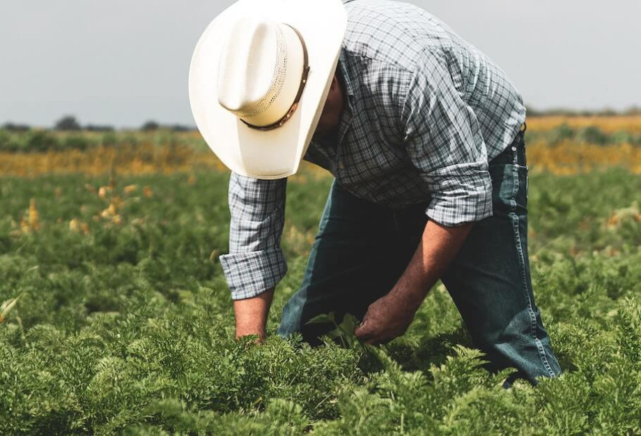Πανελλήνια Ένωση Φορέων Αγροτικών Υπηρεσιών - Η προσπάθεια σπίλωσης των ΚΥΔ, δεν θα μείνει αναπάντητη