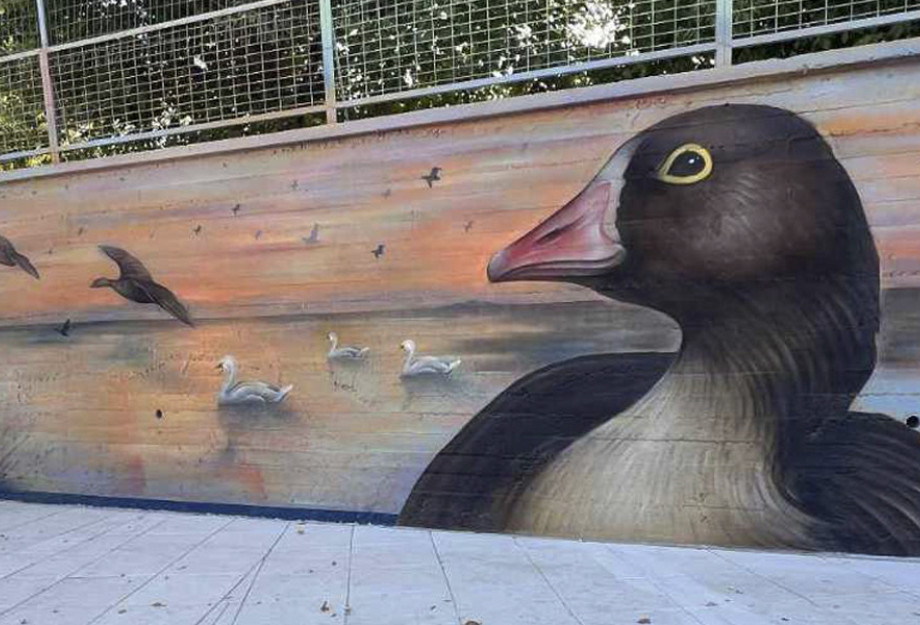 Οι Νανόχηνες «προσγειώθηκαν» στα σχολεία της Αλεξανδρούπολης! Οι Νανόχηνες «προσγειώθηκαν» στα σχολεία της Αλεξανδρούπολης!