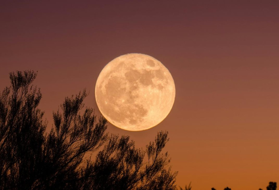 Νέα Σελήνη στις 21 Οκτωβρίου: Τα 3 ζώδια που θα επηρεαστούν περισσότερο και θα ανοίξουν νέα κεφάλαια στη ζωή τους