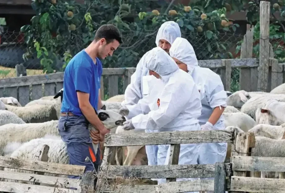 ΠΑΣΟΚ Σερρών -Η αιγοπροβατοτροφία σε οριακό σημείο