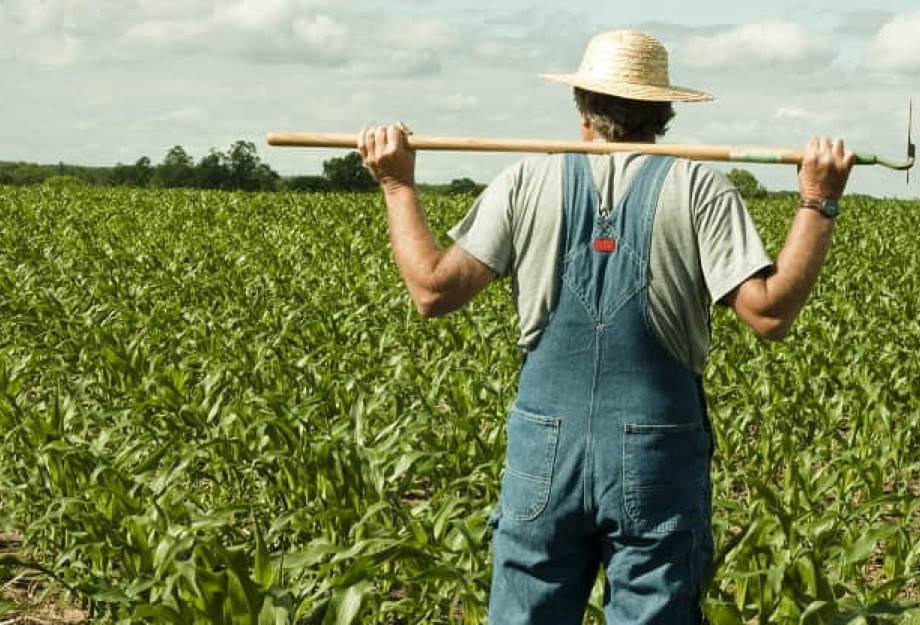 ΥΠΑΑΤ- Νέα ενισχυμένη στήριξη των κτηνοτρόφων με 50% αύξηση της αποζημίωσης για ζωοτροφές