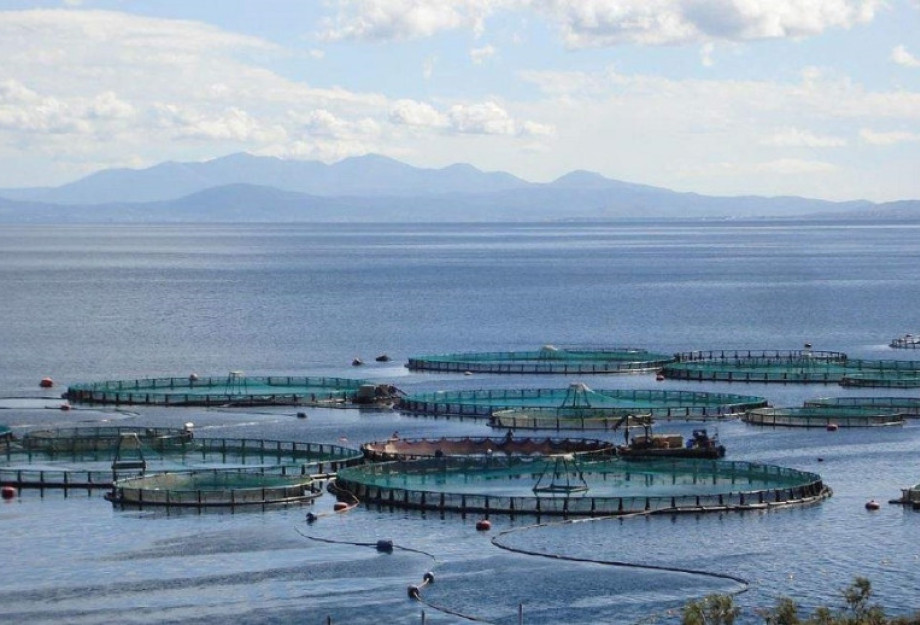 Ξεκινά νέο πρόγραμμα 26 εκ. ευρώ για τη μεταποίηση προϊόντων αλιείας και υδατοκαλλιέργειας