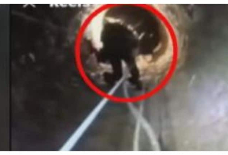 Λακωνία: 13χρονη έπεσε σε πηγάδι με νερό 5 μέτρων – Απεγκλωβίστηκε από εθελοντές πυροσβέστες