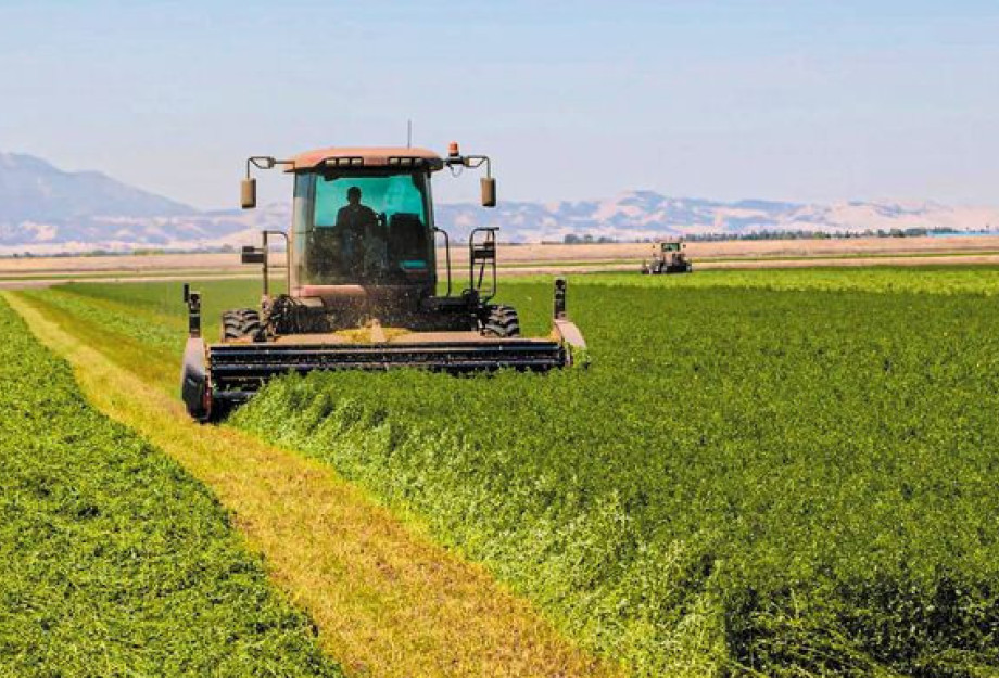 Ενισχύσεις de minimis ύψους 2,1 εκατ. ευρώ σε παραγωγούς μηδικής στον Έβρο και βιομηχανικής τομάτας στην Ημαθία