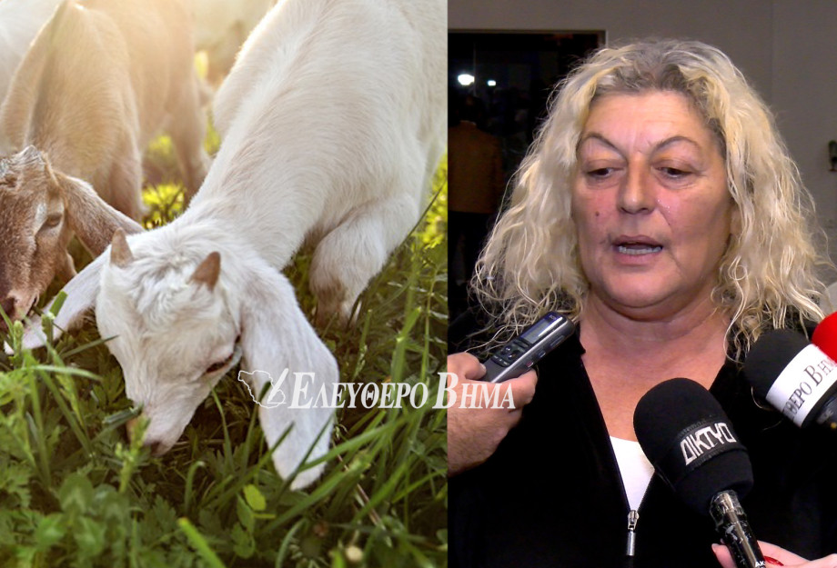 Ελπίδα Σιδηροπούλου - Αφθώδης πυρετός: «Το βλέπουμε να ρχεται - Φοβόμαστε ότι θα είναι το τελικό χτύπημα»