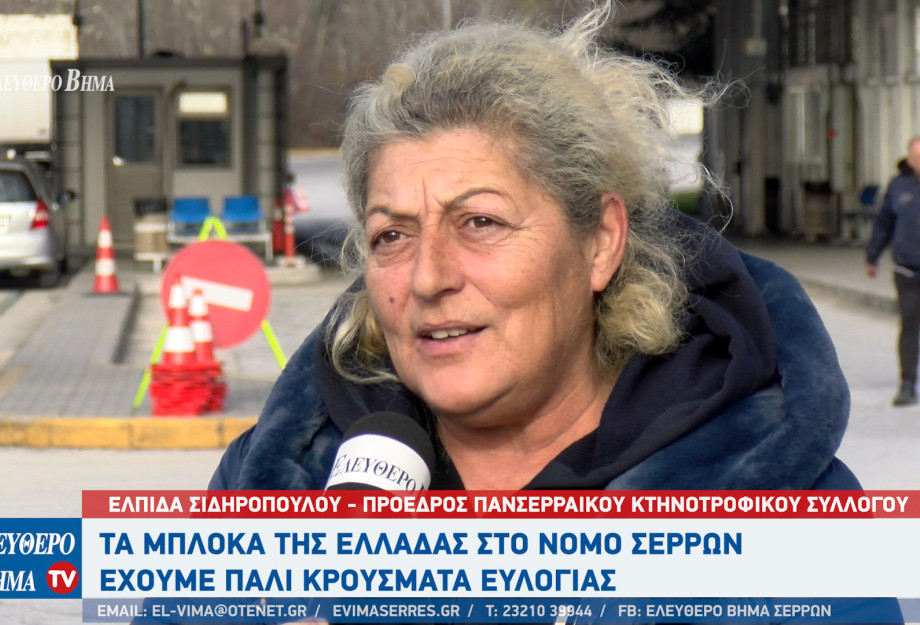 Ελπίδα Σιδηροπούλου: Τα μπλόκα της Ελλάδας στο Νομό Σερρών - Έχουμε πάλι κρούσματα ευλογιάς