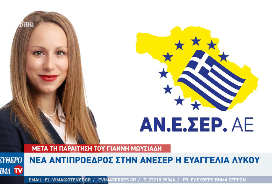ΑΝΕΣΕΡ: Νέα Αντιπρόεδρος η Ευαγγελία Λύκου μετά την παραίτηση του Γιάννη Μωυσιάδη