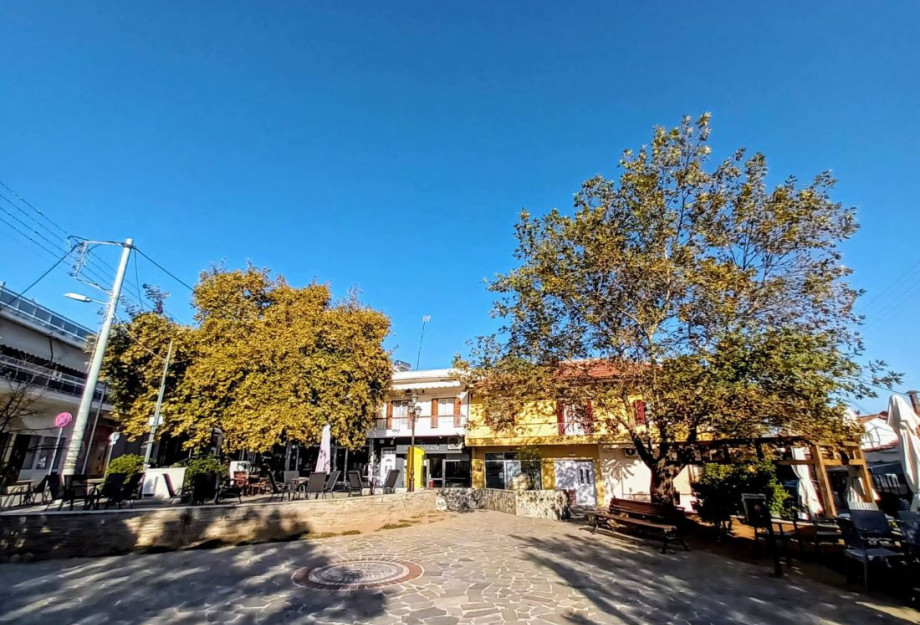 Ο Παναγιώτης Σαββίδης νέος Πρόεδρος του Φυσιολατρικού Συλλόγου Νέου Πετριτσίου